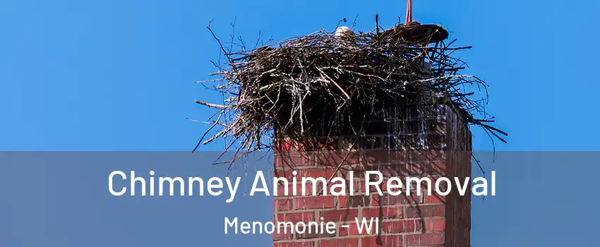  Chimney Animal Removal Menomonie - WI