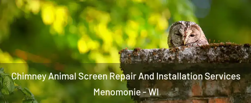  Chimney Animal Screen Repair And Installation Services Menomonie - WI