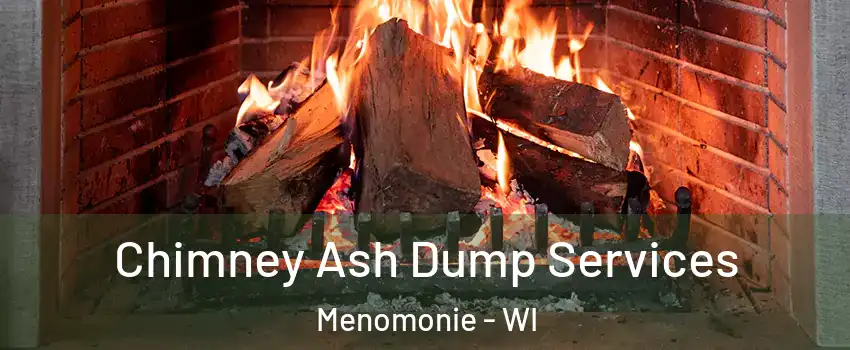  Chimney Ash Dump Services Menomonie - WI