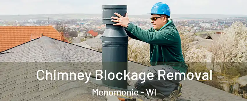  Chimney Blockage Removal Menomonie - WI