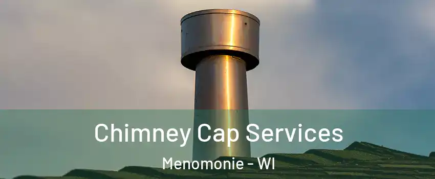  Chimney Cap Services Menomonie - WI