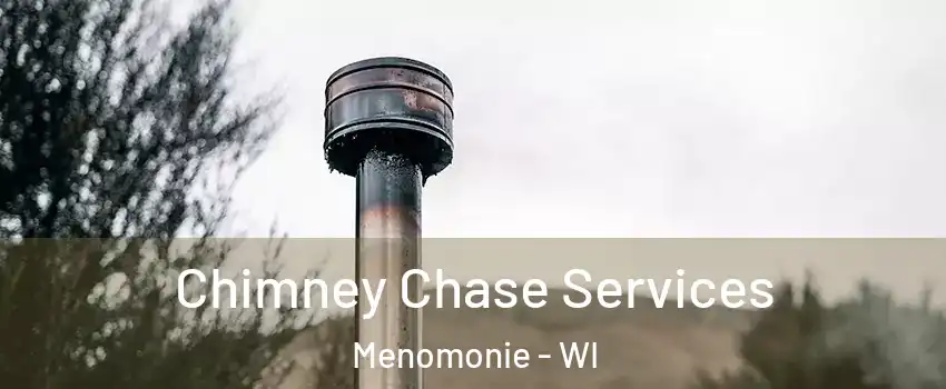  Chimney Chase Services Menomonie - WI