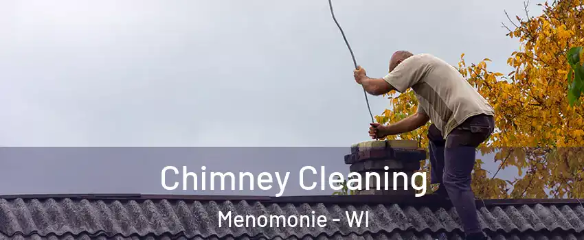  Chimney Cleaning Menomonie - WI