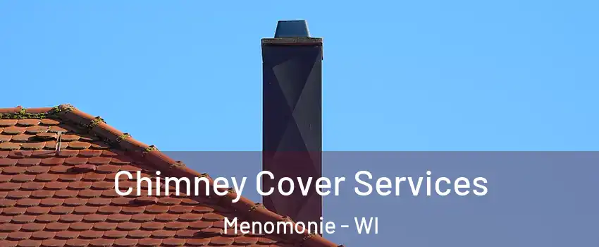  Chimney Cover Services Menomonie - WI