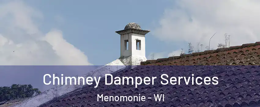  Chimney Damper Services Menomonie - WI