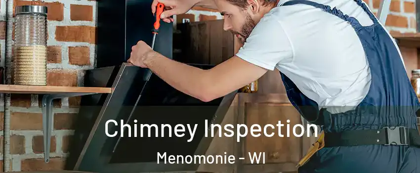  Chimney Inspection Menomonie - WI