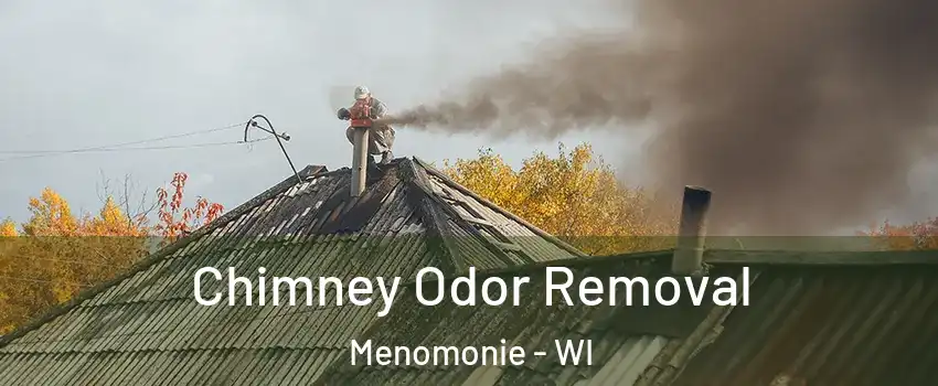  Chimney Odor Removal Menomonie - WI