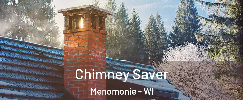  Chimney Saver Menomonie - WI