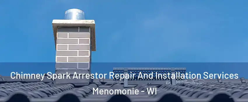  Chimney Spark Arrestor Repair And Installation Services Menomonie - WI