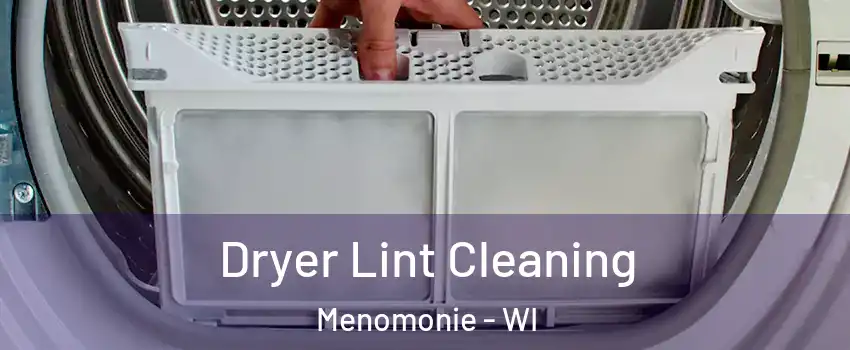  Dryer Lint Cleaning Menomonie - WI
