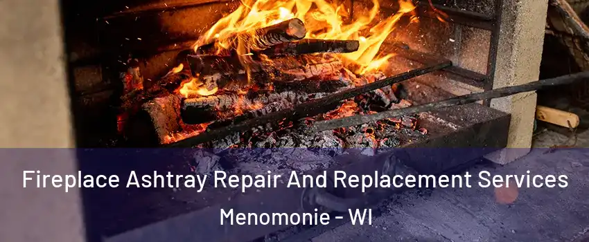  Fireplace Ashtray Repair And Replacement Services Menomonie - WI