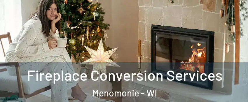 Fireplace Conversion Services Menomonie - WI