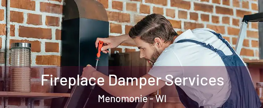  Fireplace Damper Services Menomonie - WI