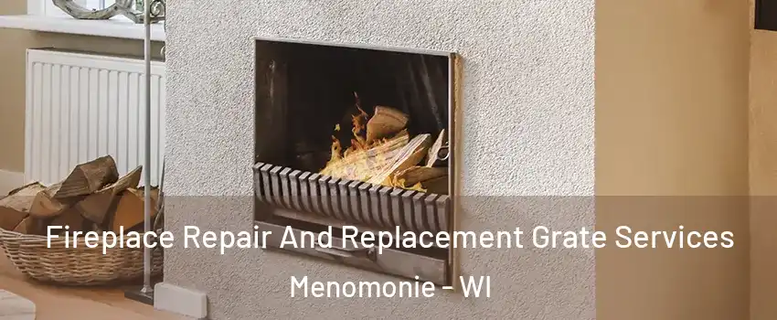  Fireplace Repair And Replacement Grate Services Menomonie - WI