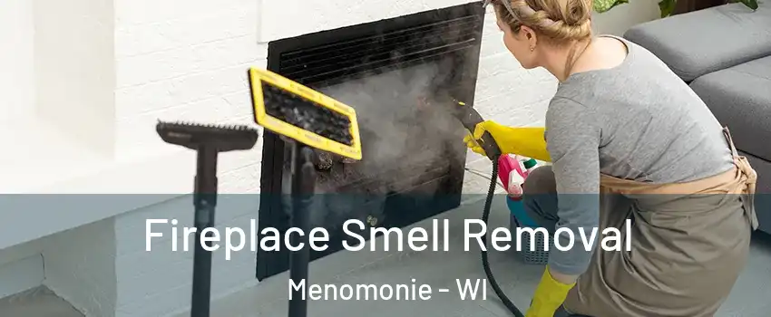  Fireplace Smell Removal Menomonie - WI