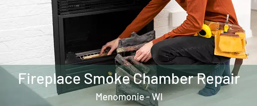  Fireplace Smoke Chamber Repair Menomonie - WI