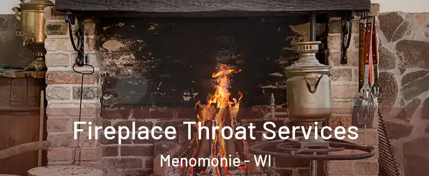  Fireplace Throat Services Menomonie - WI
