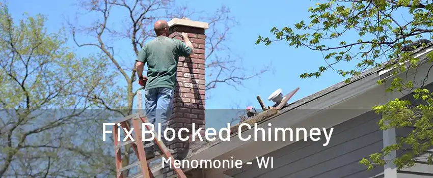  Fix Blocked Chimney Menomonie - WI