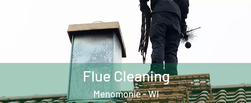  Flue Cleaning Menomonie - WI