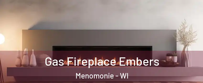  Gas Fireplace Embers Menomonie - WI