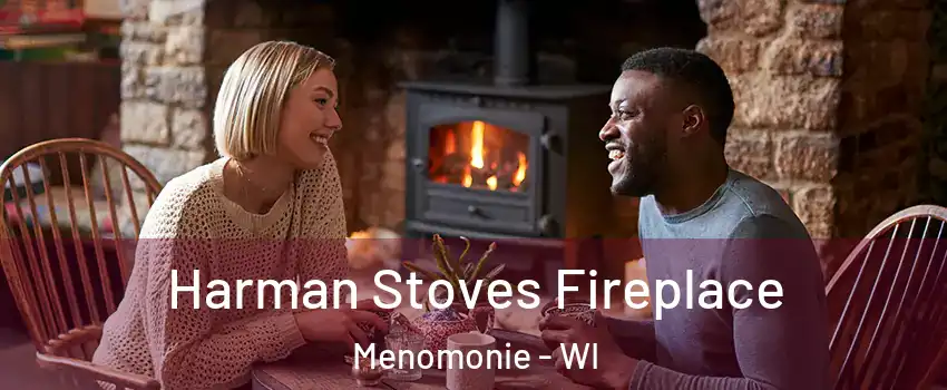  Harman Stoves Fireplace Menomonie - WI