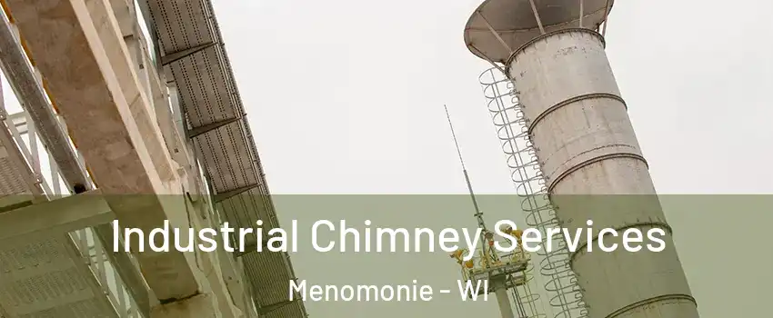  Industrial Chimney Services Menomonie - WI
