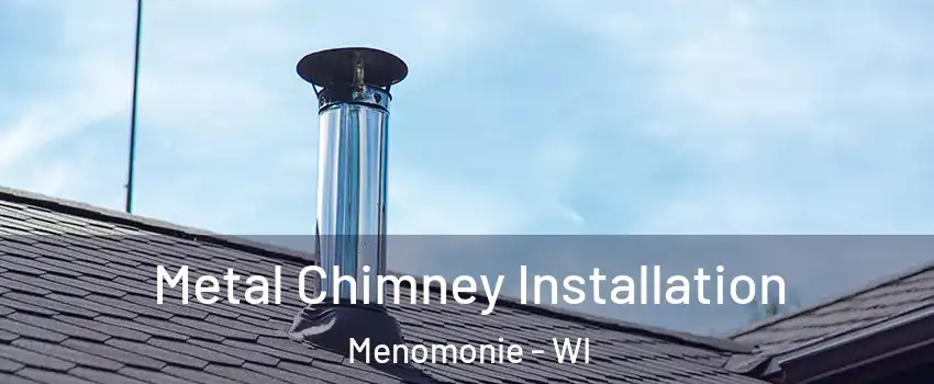  Metal Chimney Installation Menomonie - WI