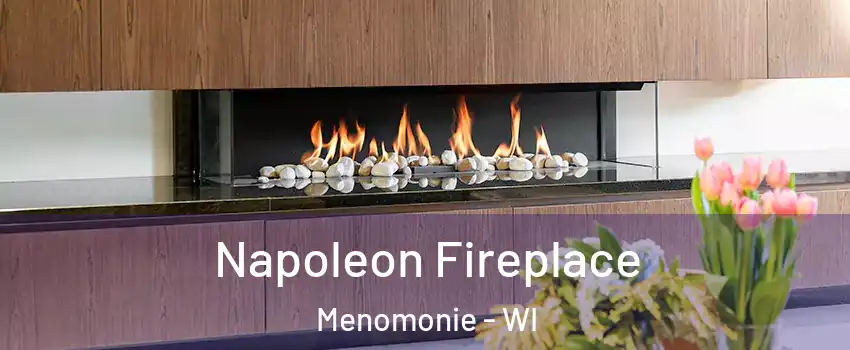  Napoleon Fireplace Menomonie - WI