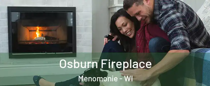  Osburn Fireplace Menomonie - WI