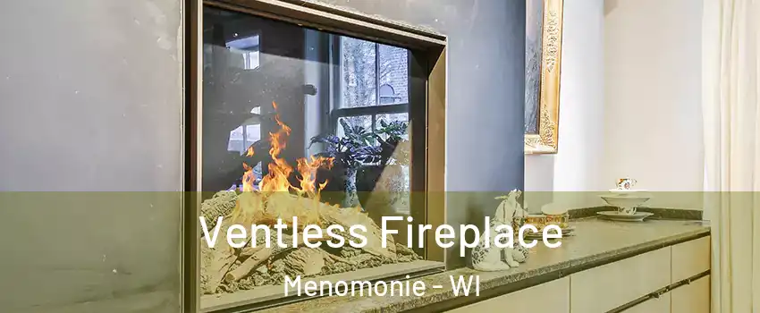  Ventless Fireplace Menomonie - WI