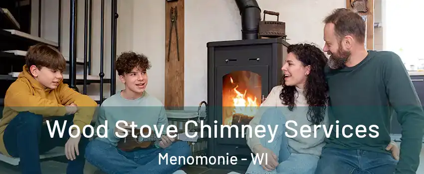  Wood Stove Chimney Services Menomonie - WI